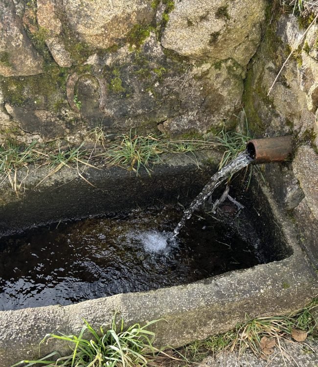 Fontaine Filles