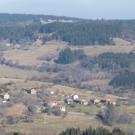 P1060951